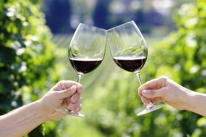Horseback Riding with Wine Tour from Florence - From Florence to the Chianti Hills in an 8-seat A/C van
