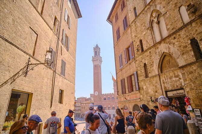 Horseback Riding with Wine Tour from Florence - One hour on horseback through vineyards, olive groves, and rolling hills