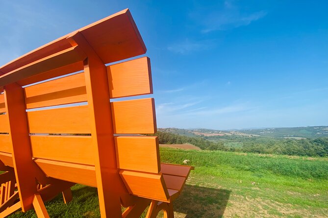 La Maliosa Farm Experience & Wine Tasting - The farm walk, vineyard stop, and Big Bench #235 in Manciano