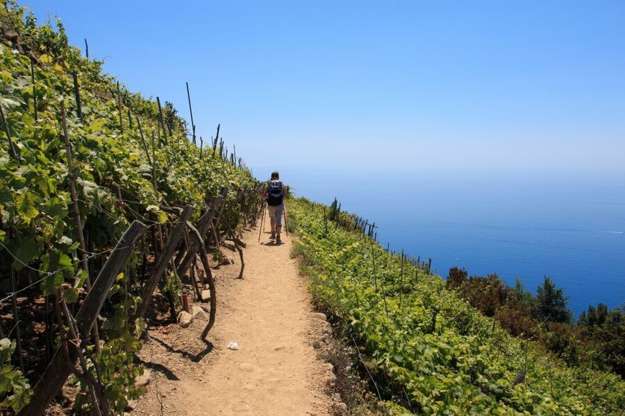 La Spezia: Cinque Terre Guided Hiking Tour - Who this tour is best for, and who should skip it