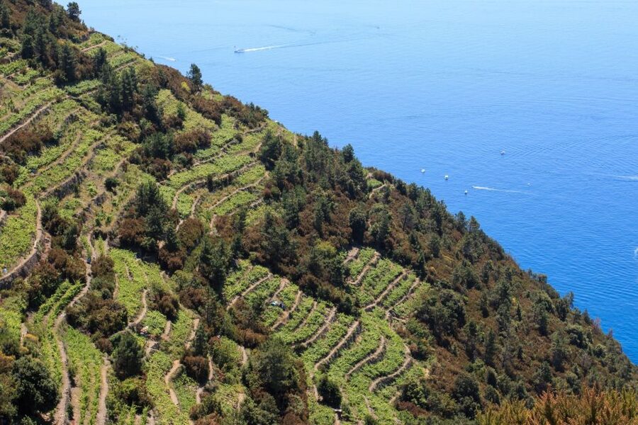 La Spezia: Cinque Terre Guided Hiking Tour - Riomaggiore: narrow streets, hidden spots, and a terrace viewpoint