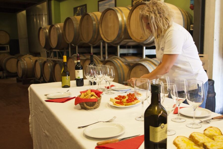 Leonardo da Vinci's Homeland Private Excursion from Florence - Montelupo Fiorentino Lunch Stop: Tuscan Light Meal, Wine Tasting, Farm Flavor