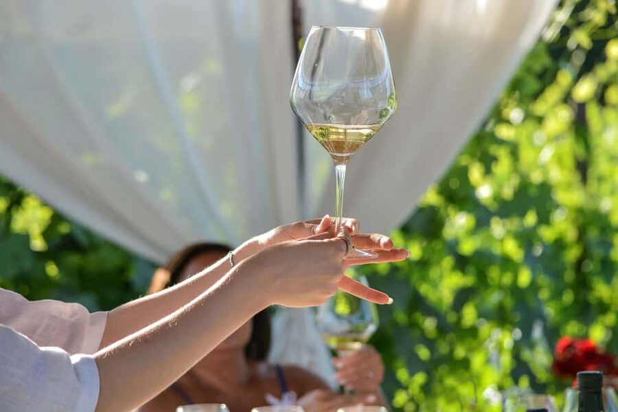 Light Lunch with Wine Tasting - How the Wine Expert Changes the Way You Taste