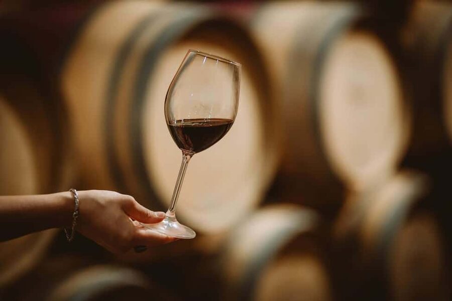 Light Lunch with Wine Tasting - Price and Value: Is $85 a Fair Deal in Chianti?