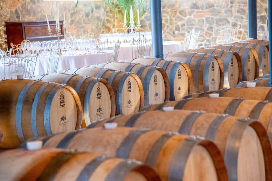 Light Lunch with Wine Tasting - Between Florence and Siena, Close to San Gimignano