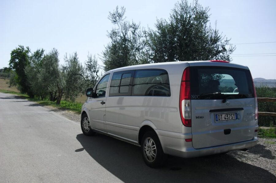 Livorno Port, Pisa, Florence: Full-Day Shore Excursion - Key things to know before you go