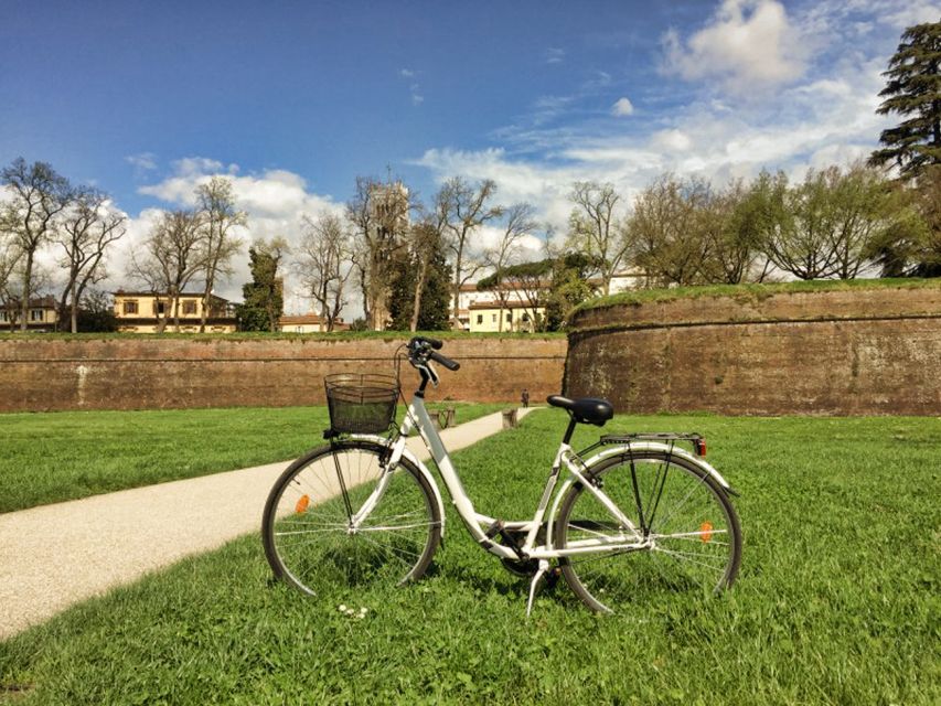 Lucca: City Bike One-Day Rental - Why Lucca Works So Well for Cycling (No Cars on the Walls)