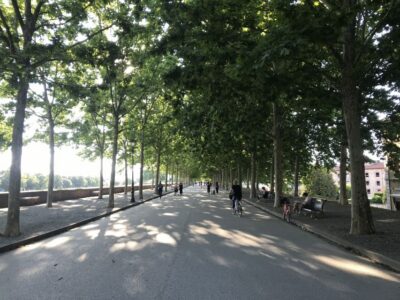 City Bike One-Day Rental