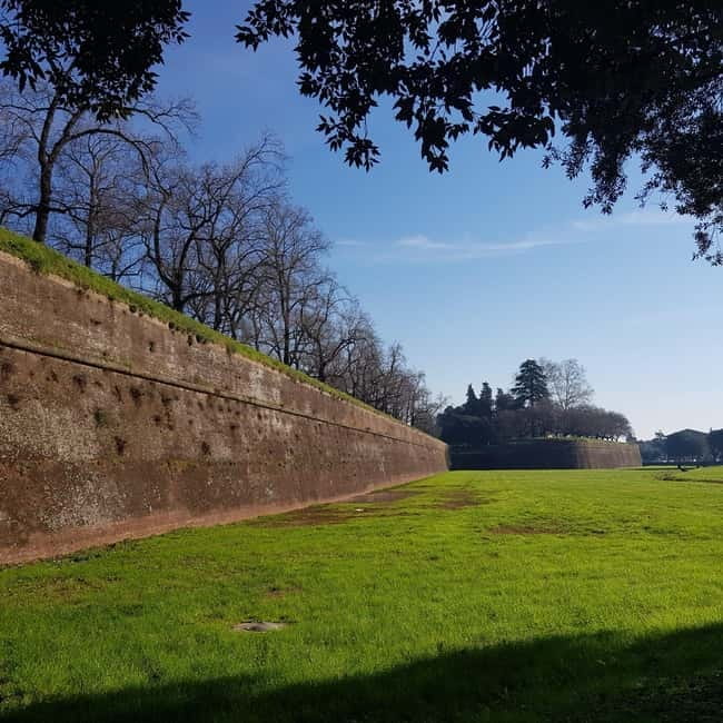 Lucca classica: visita guidata in ITALIANO - Piazza San Martino and Via Fillungo, the city’s classic walk-and-watch stretch
