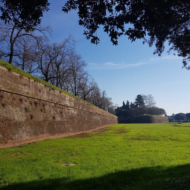 Lucca classica: visita guidata in ITALIANO - Climbing the Renaissance Walls for the view, the context, and the payoff