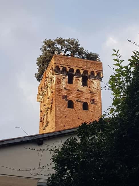 Lucca classica: visita guidata in ITALIANO - Who should book this Lucca tour (and who might skip it)