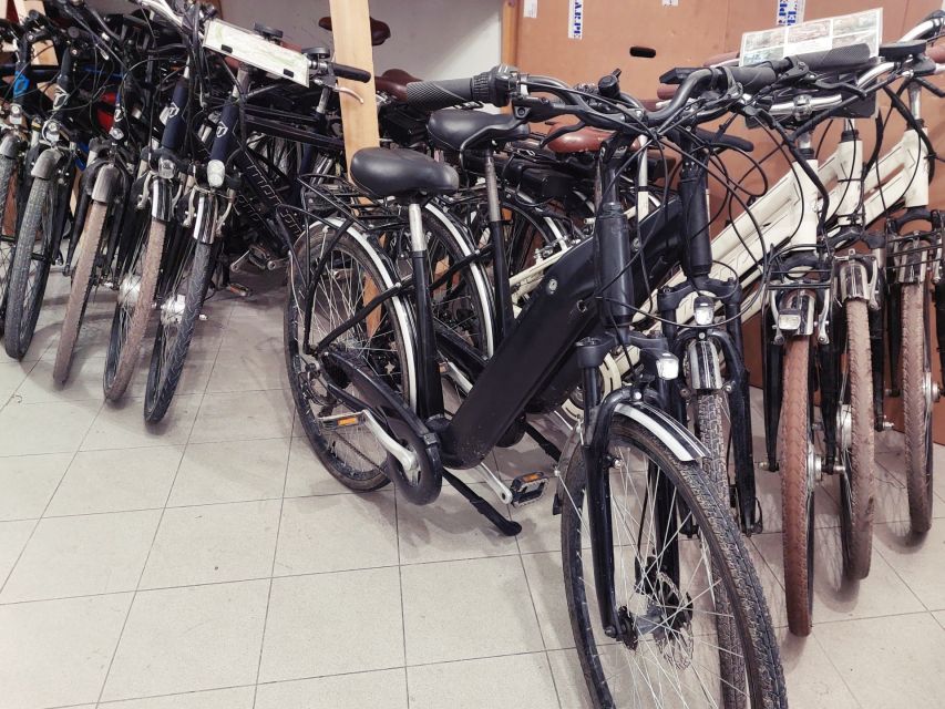 Lucca: E-Bike Rental - Price and value: is $46 per person a good deal?
