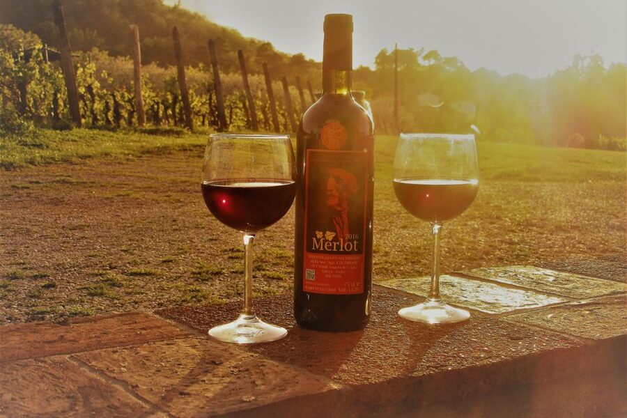 Lucca: Guided E-Bike and Wine Tour - Province of Lucca Ride Beyond the Walls, Villages and Family Farms