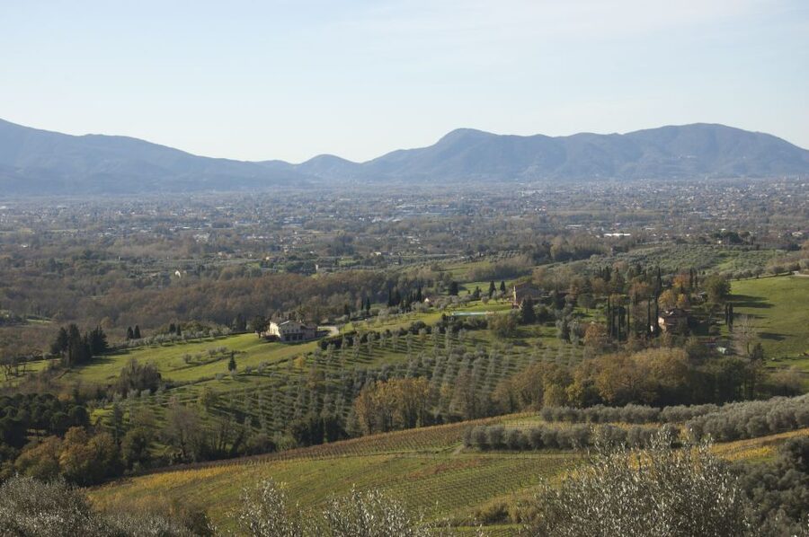 Lucca: Guided E-Bike and Wine Tour - What You Taste: Wines With Cheese, Cold Cuts, Bruschetta, and Olive Oil