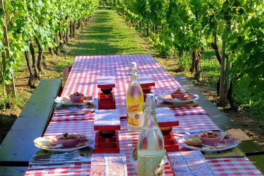 Lucca: Guided E-Bike and Wine Tour - FAQ