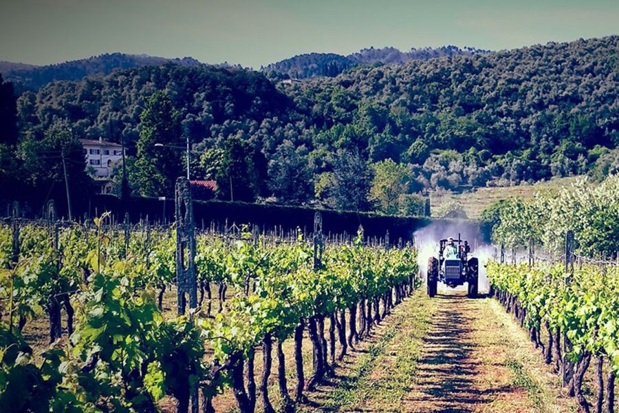 Lucca: Guided E-Bike and Wine Tour - Four Kilometers of Cycle Paths, Plus the Best Views Over Lucca