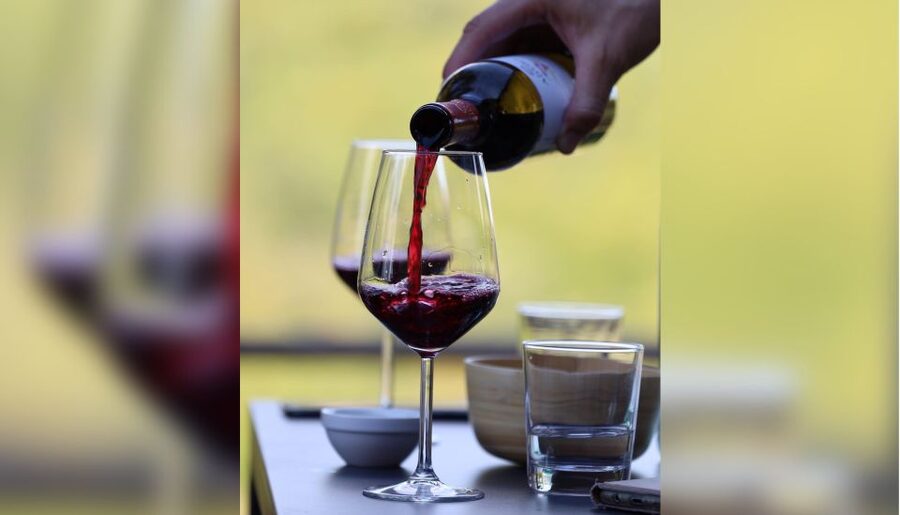 Lucca: Guided Winery Tour with Wine Tasting - Entering The Cellars: How the Winemaking Story Starts