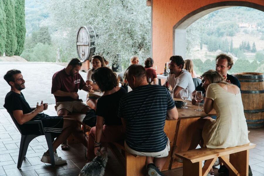 Lucca: Guided Winery Tour with Wine Tasting - The Terrace Tasting: 4 Glasses, Olive Oil, and What to Pay Attention To