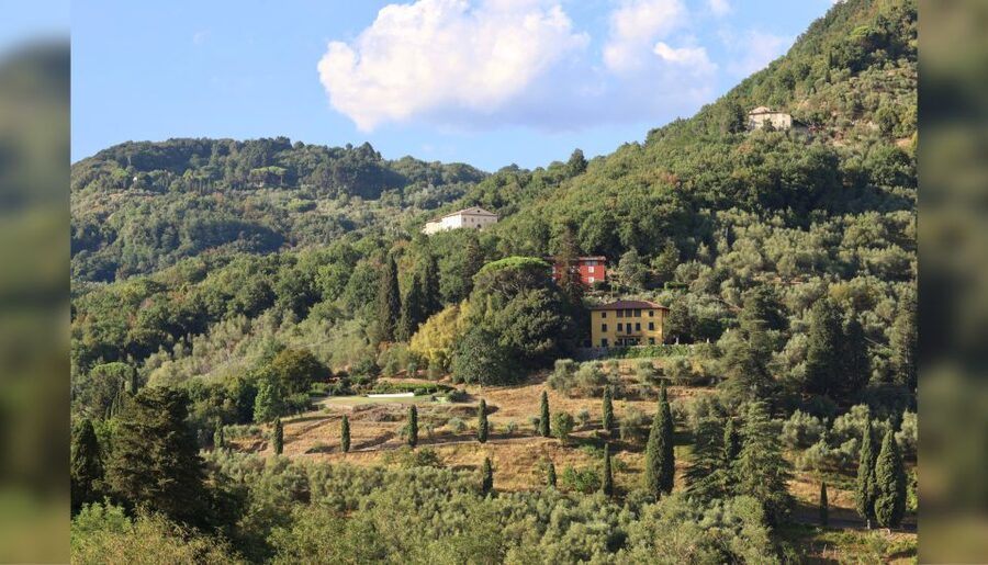 Lucca: Guided Winery Tour with Wine Tasting - Should You Book Tenuta Adamo Winery in Lucca?