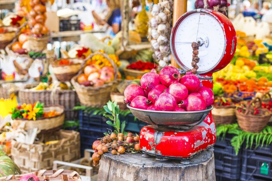 Lucca: Market and Cooking Class at a Local's Home - Key Points to Know Before You Go