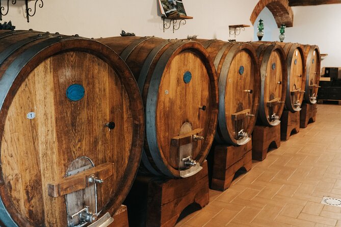 Lucca: Wine Tasting Experience - Tenuta Adamo Winery - Terrace Tasting in Lucca: Wines, Olive Oil, and Bread You’ll Remember