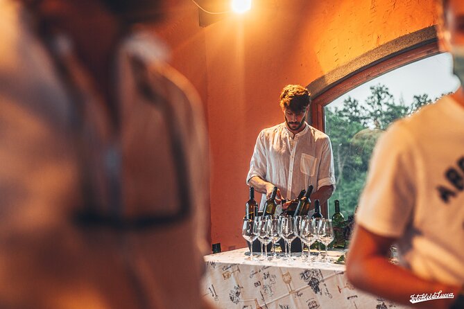 Lucca: Wine Tasting Experience - Tenuta Adamo Winery - Comfort Tips for a Smooth Terrace Tasting