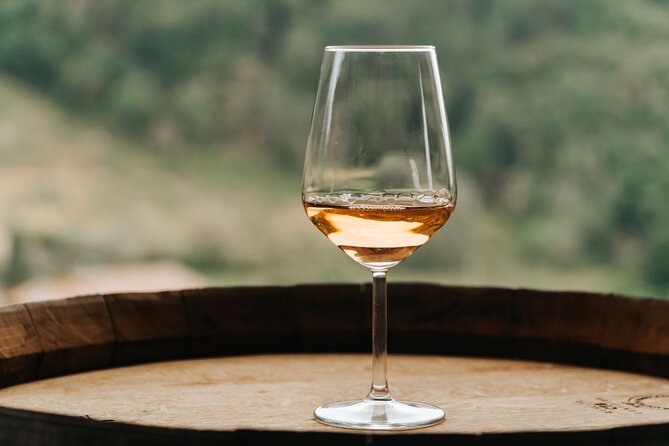 Lucca: Wine Tasting Experience - Tenuta Adamo Winery - Price and Value: Why $24.20 Can Make Sense