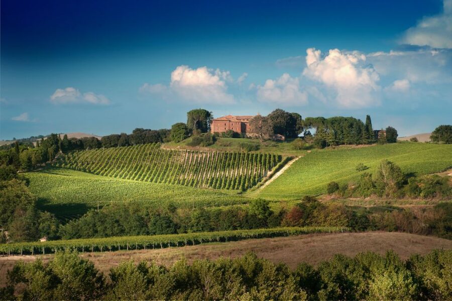 Montalcino: Brunello Wine Tasting & Lunch in a Tuscan Castle - Castello Tricerchi and Montalcino’s Brunello gravity