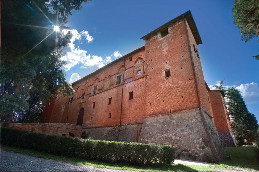 Montalcino: Brunello Wine Tasting & Lunch in a Tuscan Castle - The vineyard walk: where the story actually clicks