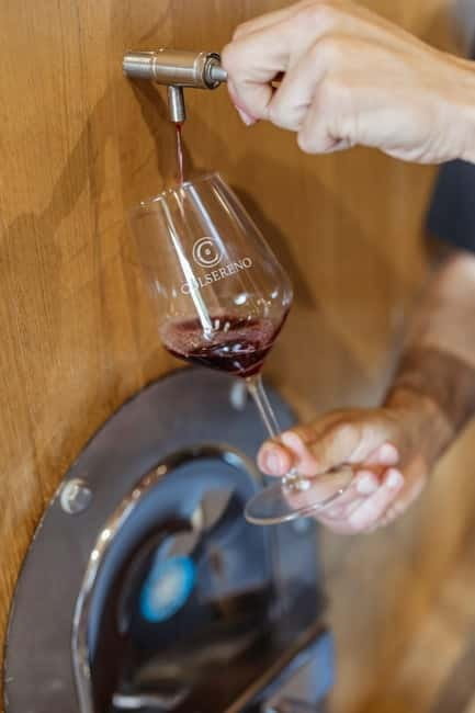 MONTALCINO : Wine Tasting with Tuscan Cold Cuts and Cheese - Warm bread and Tuscan olive oil: the easy start that sets the mood