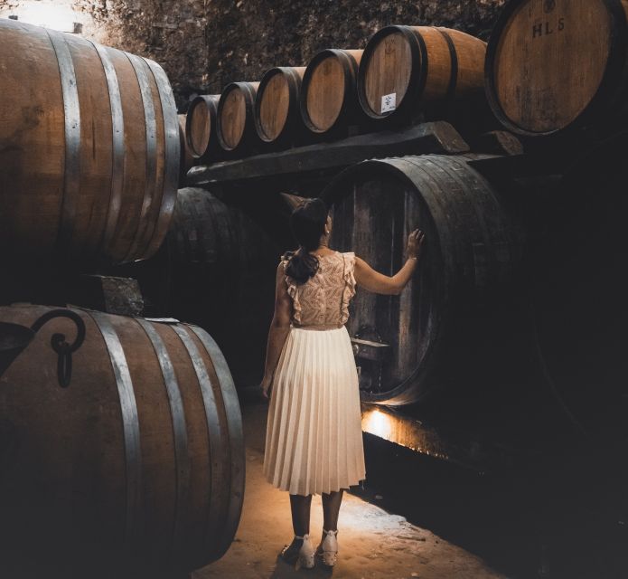 Montepulciano: Historical Cellars Guided Tour & Wine Tasting - Why Montepulciano Cellars Feel Personal, Not Just Touristy