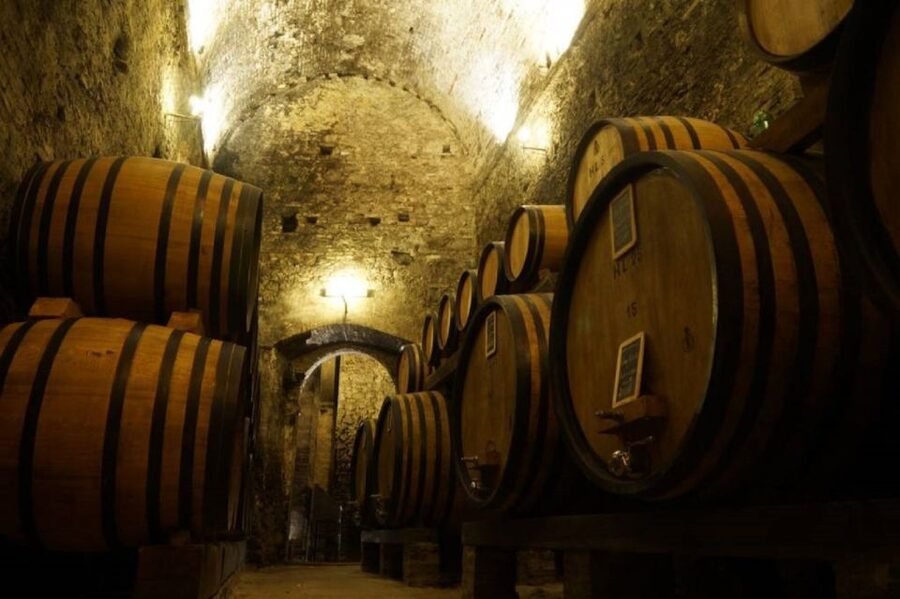 Montepulciano: Wine Tasting and Cellar Tour - Why Montepulciano cellars feel like a time machine