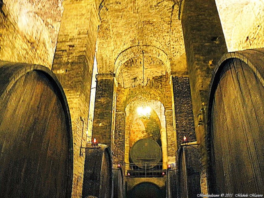 Montepulciano: Wine Tasting and Cellar Tour - Slavonia oak, French wood, and the tufa soil lesson