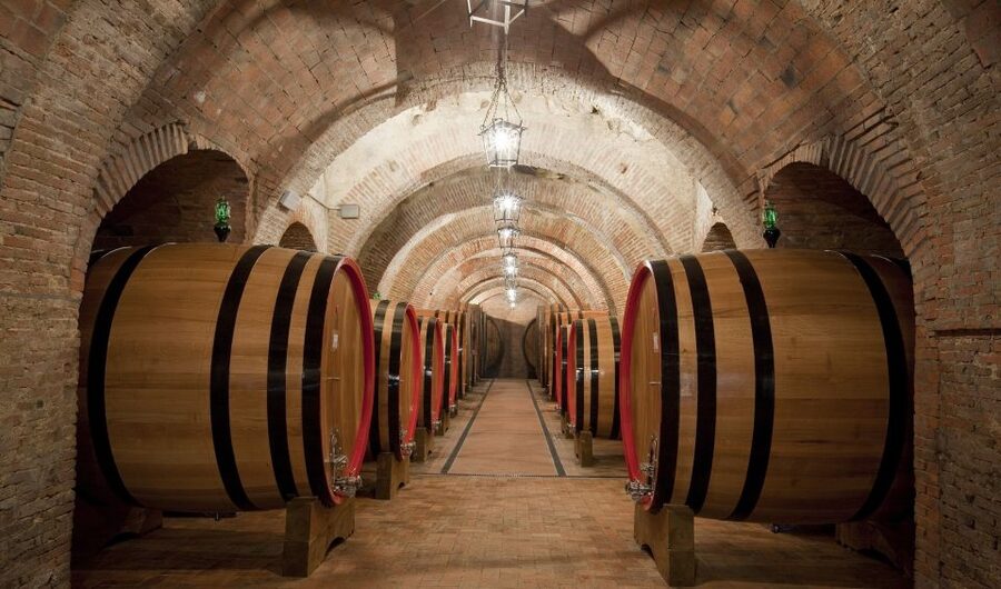 Montepulciano: Wine Tasting & Lunch in a Typical Winery - Key highlights at a glance