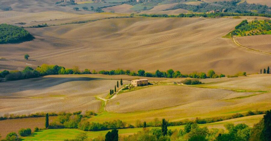 Montepulciano: Wine Tasting & Lunch in a Typical Winery - 14th-Century Cellars in Montepulciano, Not a Cookie-Cutter Tastings Room