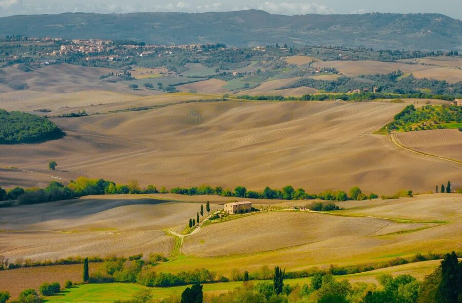 Montepulciano: Wine Tasting & Lunch in a Typical Winery - The Sommelier Tasting: Four Wines, Real Explanations, and Local DOCGs