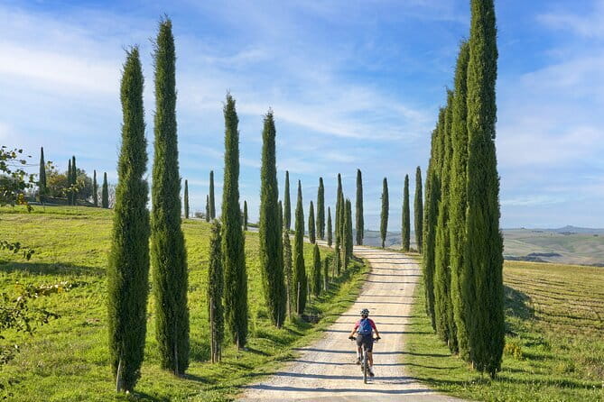 Pisa, Siena and San Gimignano Day Trip with Lunch & Wine Pairing - The winery lunch near San Gimignano: wine pairing that people remember