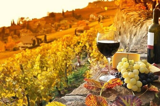 Pisa, Siena and San Gimignano Day Trip with Lunch & Wine Pairing - San Gimignano: towers, viewpoints, and your hour of freedom