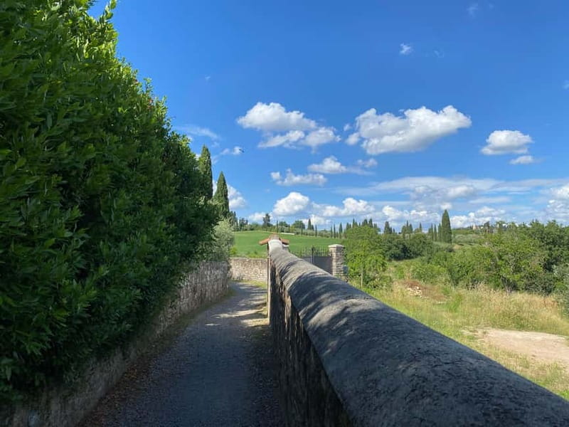 Premium Chianti E-Bike Tour, Food Wine Tasting + Photo shoot - Stop-by-stop route: Michelangelo views, Arcetri hills, then a farm lunch