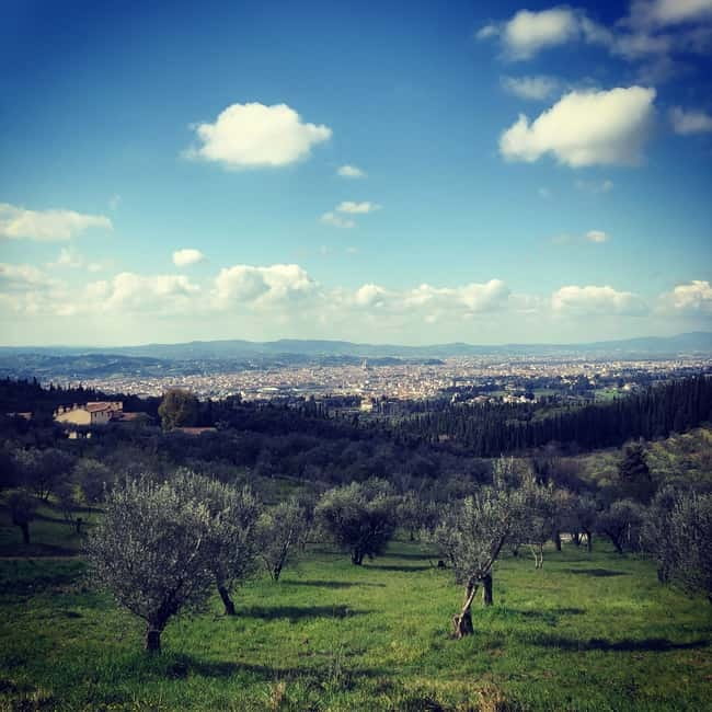 Private Hiking Florence Tour with Wine and Lunch or semi-pri - The first walking stretch: cypress woods, shady breaks, and the Florence skyline