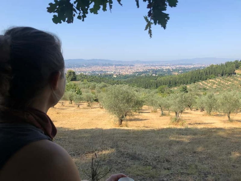 Private Hiking Florence Tour with Wine and Lunch or semi-pri - Returning to Florence: why the drop-offs make your evening easier