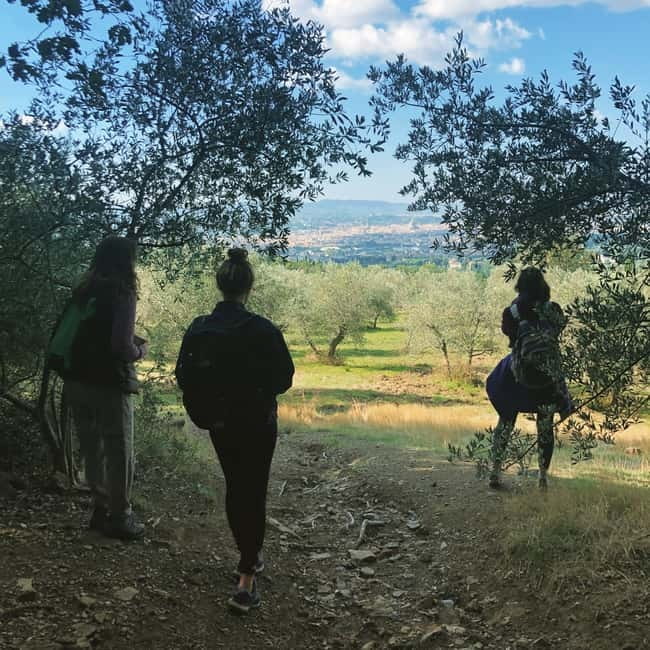 Private Hiking Florence Tour with Wine and Lunch or semi-pri - Getting there: meeting point, minivan rides, and drop-off in Florence