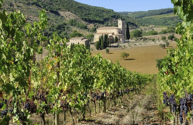 San Gimignano, Chianti, and Montalcino Day Trip from Siena - Quick reasons this Siena wine trip works