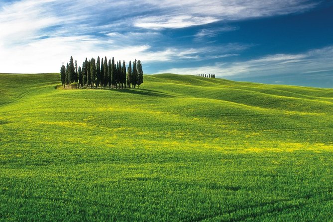 San Gimignano, Chianti, and Montalcino Day Trip from Siena - Monteriggioni and the Chianti drive: perfect for quick, scenic breaks