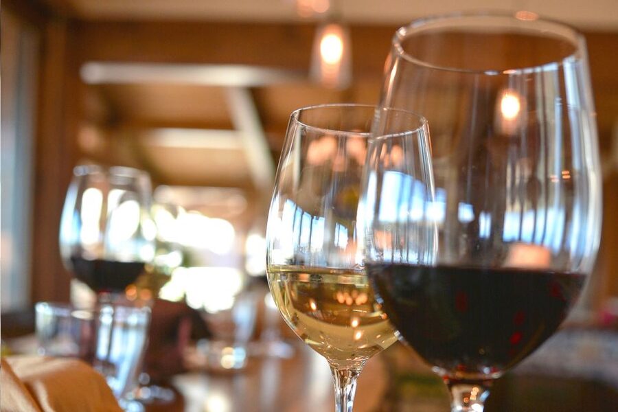 San Gimignano: Lunch or Dinner at a Winery with Wine Tasting - Comfort, pace, and small logistics that matter