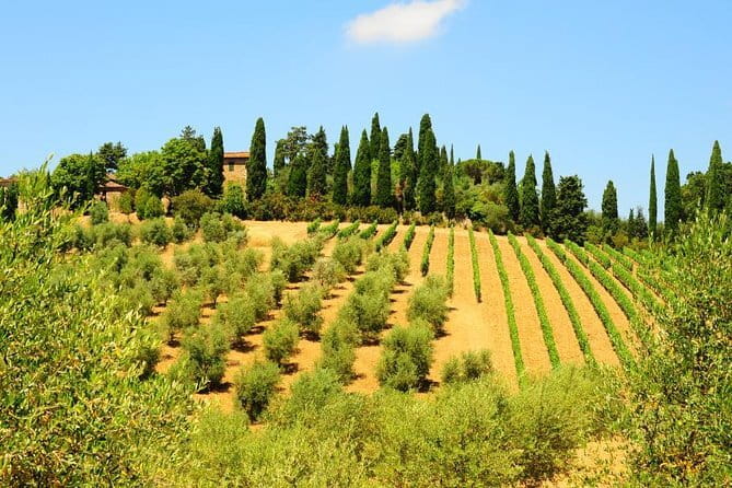 San Gimignano, Siena, Monteriggioni: Fully Escorted Tour, Lunch & Wine Tasting - Monteriggioni’s Intact Fortress Walls and Quick Photo Timing