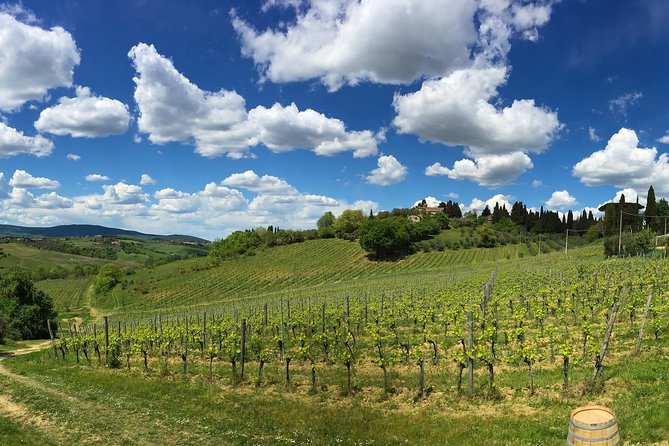 Siena: A Wine Tour and Tasting Experience - Stop 2: Cellar Education on Wine Quality Steps (About 40 Minutes)