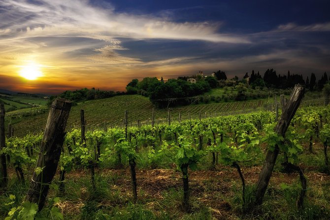 Siena: A Wine Tour and Tasting Experience - Price and Value: What $102.84 Buys You in Real Time