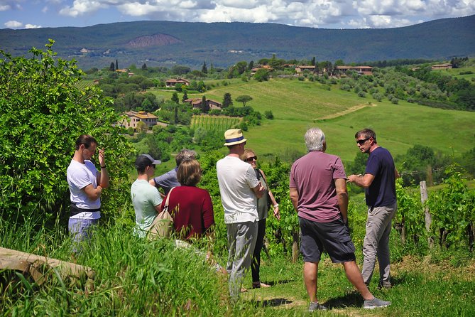 Siena: A Wine Tour and Tasting Experience - Who This Tour Is Best For (And Who Might Skip It)
