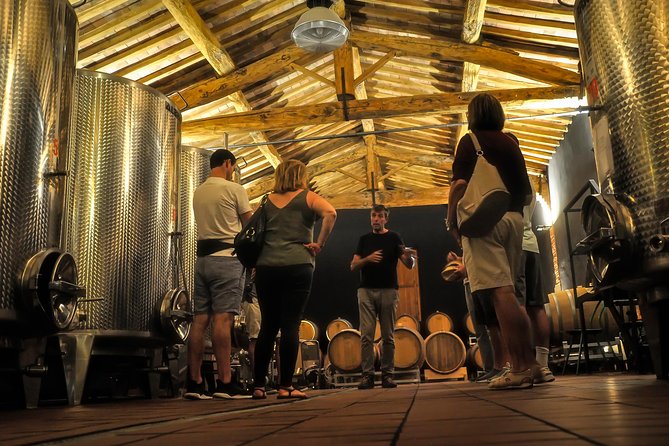 Siena: A Wine Tour and Tasting Experience - Stop 1: Vineyard Lessons at Azienda Agricola La Lastra (About 50 Minutes)